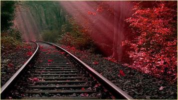 HD Rail Road Wallpapers اسکرین شاٹ 1