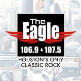 Houston's Eagle иконка