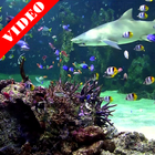Video wallpaper: Aquarium icono