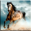 Cavalo Fundo interativo APK