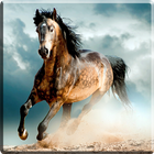 Horses Video Live Wallpaper Zeichen