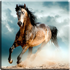 Horses Video Live Wallpaper icon