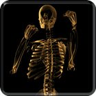 Skeleton Video Live Wallpaper ไอคอน