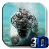 Tiger Video Live Wallpaper biểu tượng