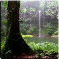Lluvia Fondos de animados