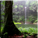 Chuva Plano fundo interativo APK