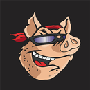 102.9 The Hog APK