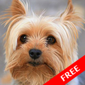”Suara Anjing : Suara Anjing Asli