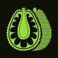 Jackfruit VPN