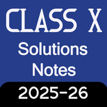 Class 10 Solutions Notes Books