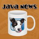 Java News Lake Geneva WI APK
