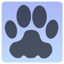 APK GAMES FOR CATS