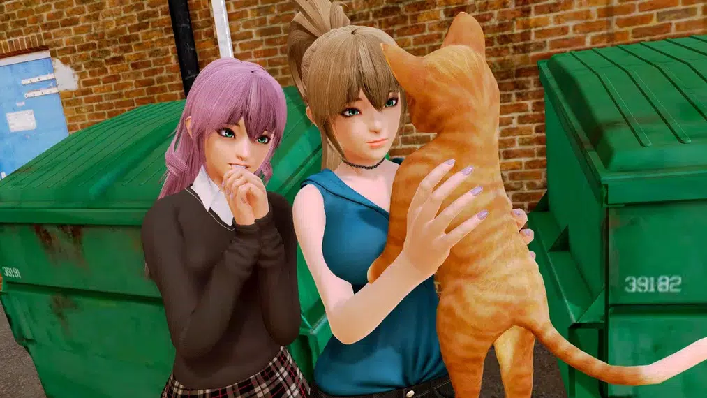 Harem Hotel APK