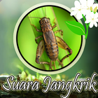 Suara Jangkrik Mp3 Offline आइकन