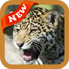 آیکون‌ Jaguar Wallpaper