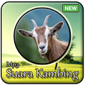 Suara Kambing Mp3