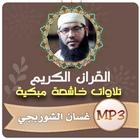 غسان الشوربجي القران الكريم أيقونة