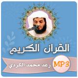 رعد الكردي القران الكريم أيقونة