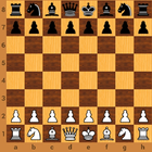 Apprends les échecs avec les maîtres 아이콘