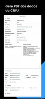 Consulta CNPJ ProInfo Screenshot 3