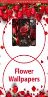 Flower Wallpapers HD | Rose Wa الملصق
