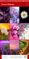 Flower Wallpapers HD | Rose Wa تصوير الشاشة 1
