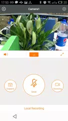 Lizvie APK Herunterladen