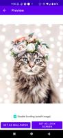 برنامه‌نما Cute Wallpapers عکس از صفحه
