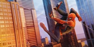 Spider Wallpapers HD Affiche