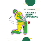 Cricket Basic Coaching icon