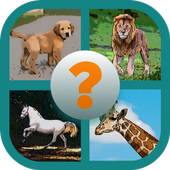 Guess Animals Trivia