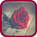 Flower Quotes APK