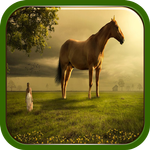 Horse Quotes APK