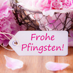 frohe pfingsten bilder