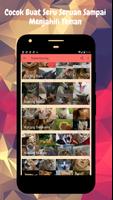 Suara Kucing Lengkap Terbaru Offline Tanpa Iklan capture d'écran 2