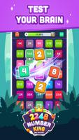 2248 Number King - Multiplayer постер
