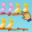 Bird Sort Puzzle - Color Sort