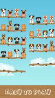 Dog Sort poster