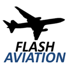 Flash Aviation Pilot Training  Zeichen