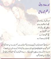 Mere Harjai poster