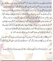 Mere Harjai screenshot 1