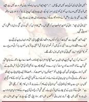 Mere Harjai screenshot 2