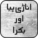Anari Piya Aur Bakra by Saima Qureshi APK