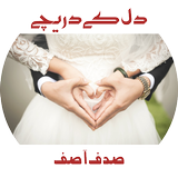 Dil Ke Dareechay иконка