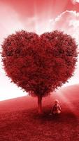 Dil Ke Dareechay poster