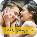 Jany Pehcahny Se Ajnabi by Sawera Ahmad APK