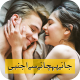 Jany Pehcahny Se Ajnabi icon