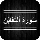 Surah Taghabun icon
