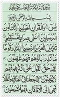 Surah Yaseen Mubeeno Wali poster