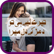 Tere Liye Hi To Dharke Dil Mera by Lee Aaun